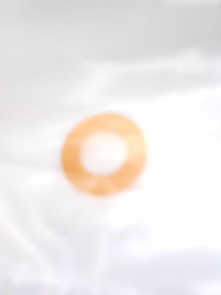 Stützscheibe             rting Disc