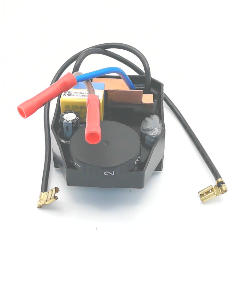ELECTRONIC MODULE