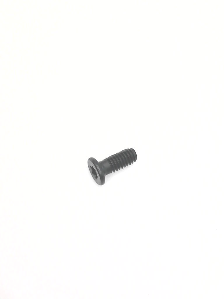 SCHR TORX