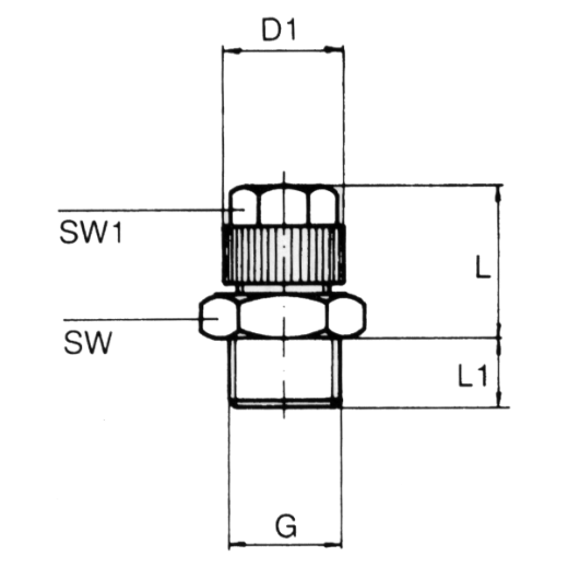 Einschr.verschr GESV-NI 8-6xG1/8a